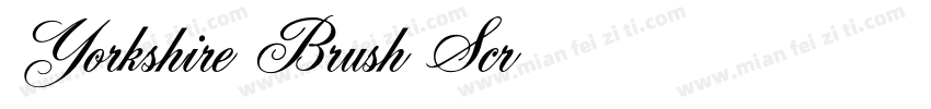 Yorkshire Brush Scr字体转换